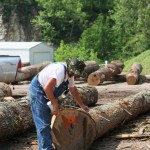 Sorting logs loggers logging