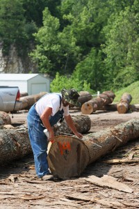 Sorting logs loggers logging