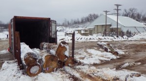 Logs to be shipped overseas sell trees