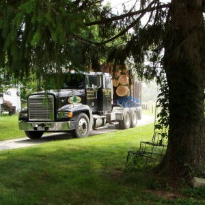 Tristate Truck, Loggers, Logging